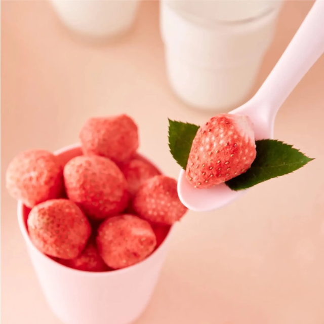 韓爸田園日記 實寶水果片乾