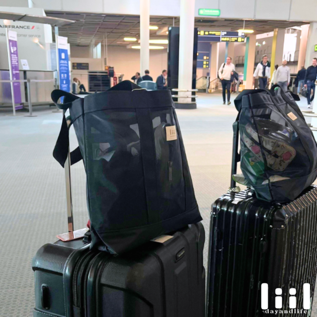 理理包liil 透網多用肩背托特包_M