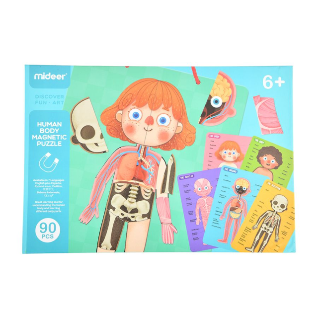 mideer 可掛式人體認知磁力貼遊戲組(90pcs)
