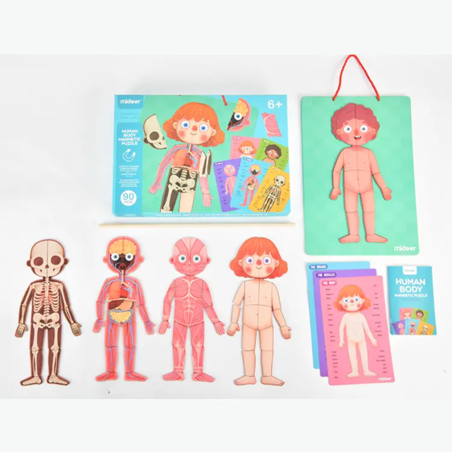 mideer 可掛式人體認知磁力貼遊戲組(90pcs)