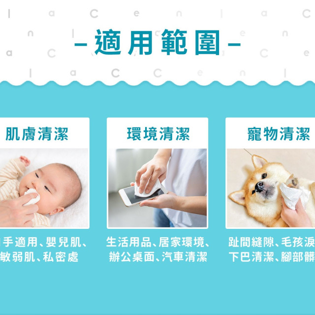 淨淨 簡單柔濕巾15抽 (40包/箱)（附貼蓋）