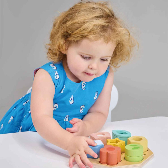 Mentari 感統益智積木