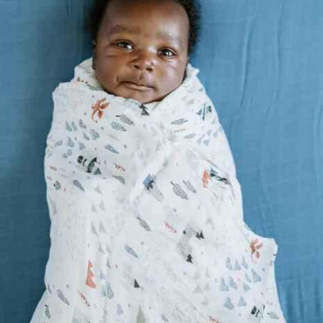 Little Unicorn 竹纖維紗布巾單入組 (多款可選)