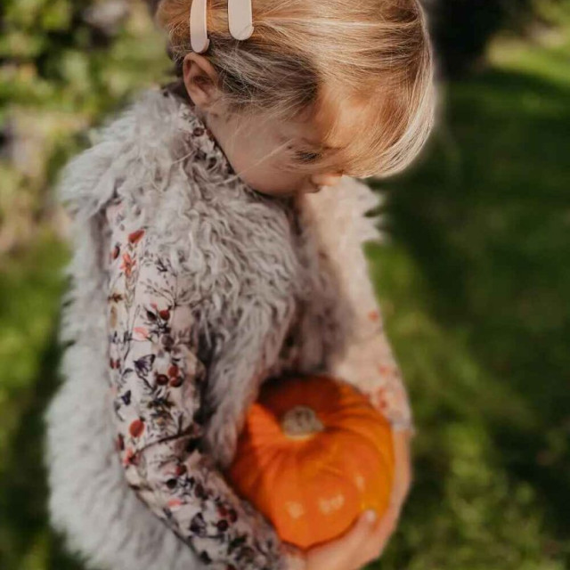 Grech&Co. 髮夾三入組 (多色可選)