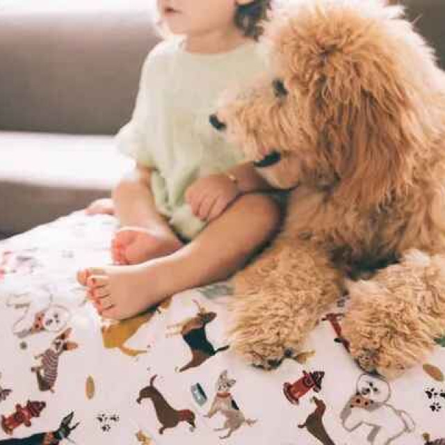 Little Unicorn 純棉加大版四層紗布毯 (多款可選)