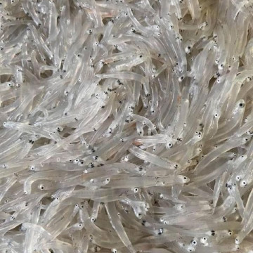 永圻 無鹽 生凍吻仔魚 120g (須清洗再料理)