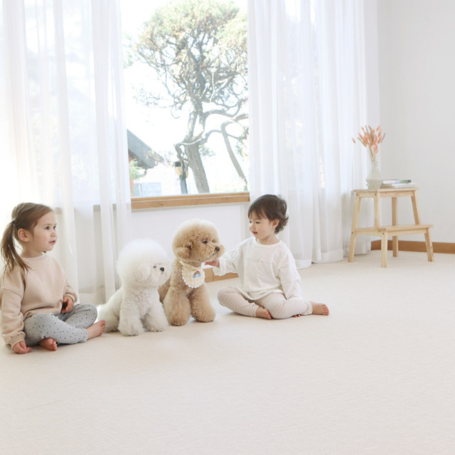 韓國ALZIPMAT 捲式地墊2M