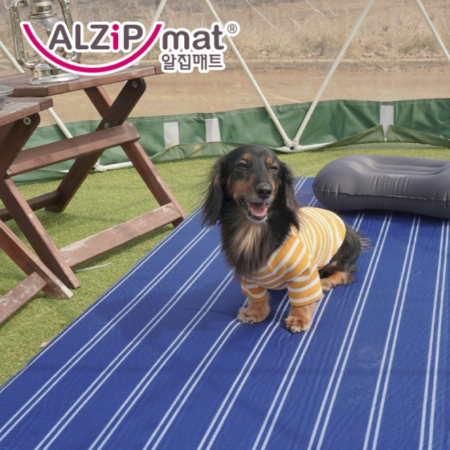 韓國ALZIPMAT 智能型自動充氣多用墊