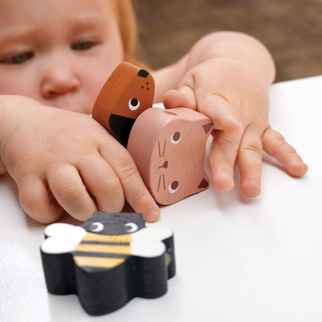 Mentari 花園生態串串樂