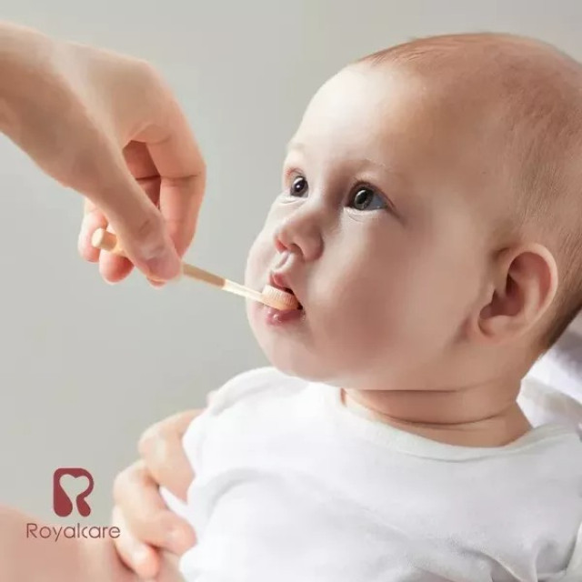 Royalcare 口腔清潔套裝組合(附收納盒)