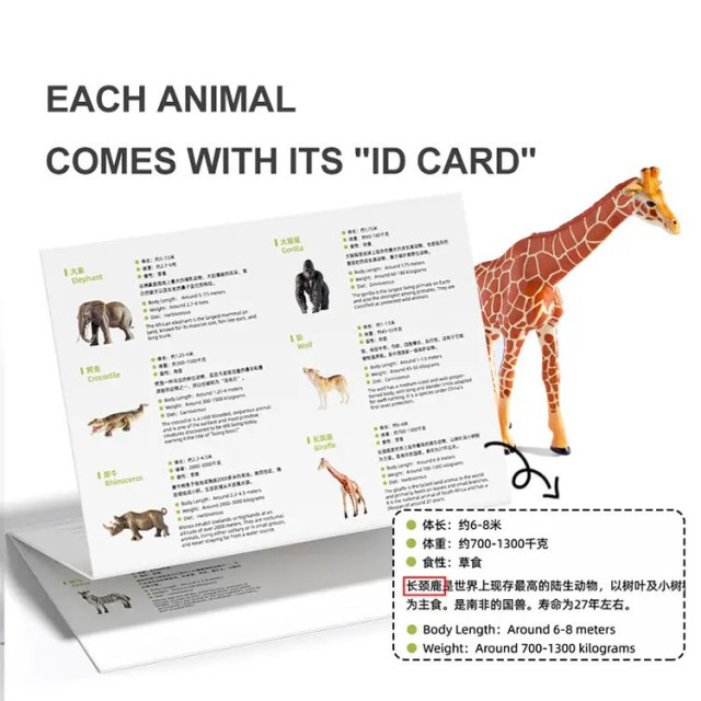 mideer 擬真動物套組(15PCS)