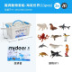 mideer 擬真動物套組-海底世界(11pcs)