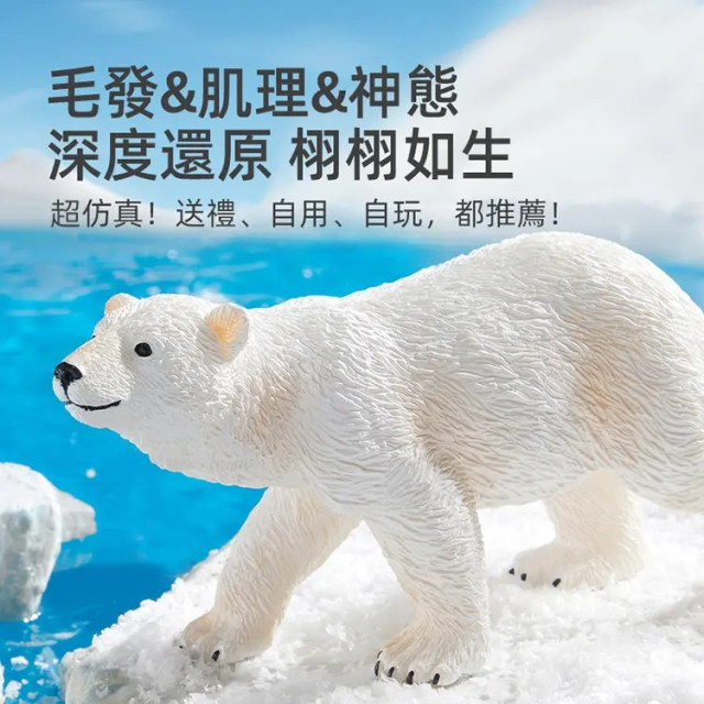 mideer 擬真動物套組-海底世界(11pcs)