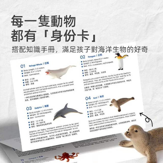 mideer 擬真動物套組-海底世界(11pcs)