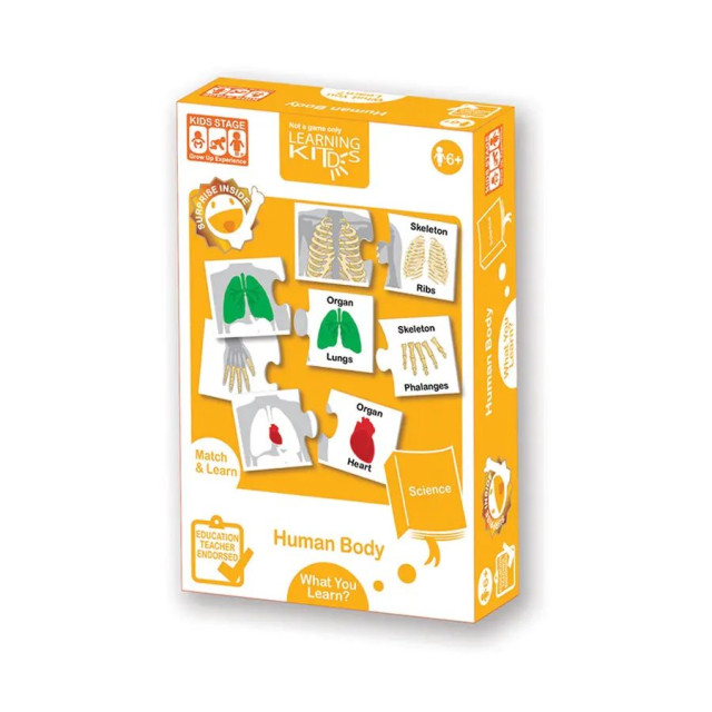 LEARNING KITDS 科學系列-人體器官認知遊戲