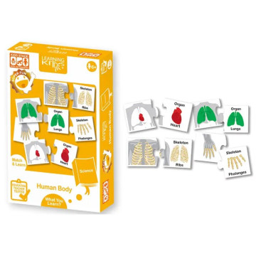 LEARNING KITDS 科學系列-人體器官認知遊戲