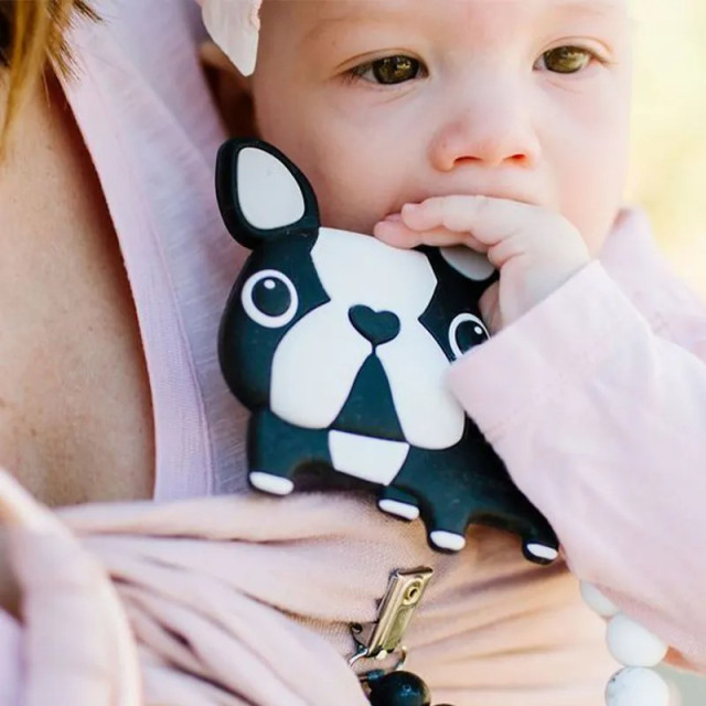 Loulou Lollipop 造型矽膠固齒器