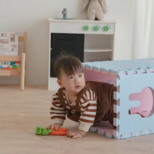 Pato Pato 抗菌升級動物巧拼地墊30*30*2cm