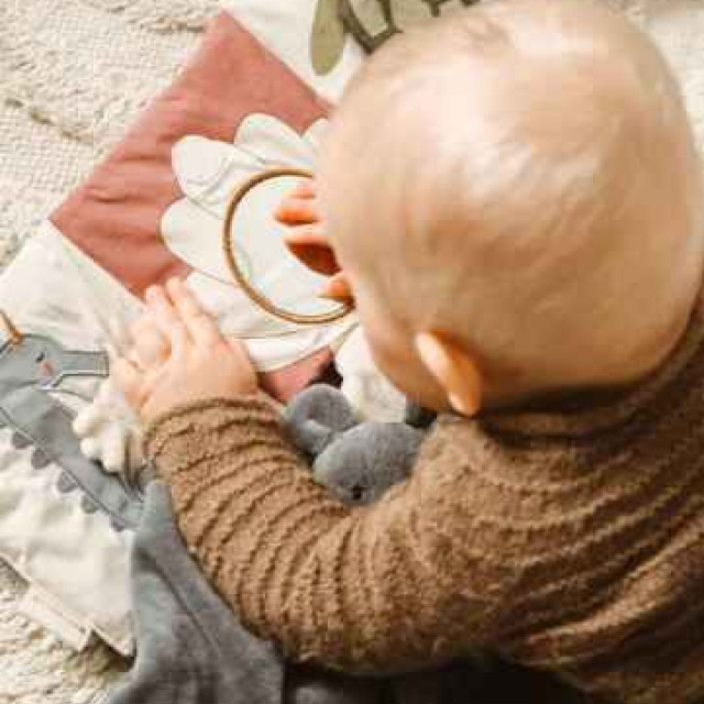 Fabelab 造型布書 我的相簿