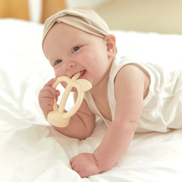 MOYUUM 韓國 固齒器水果咬咬棒