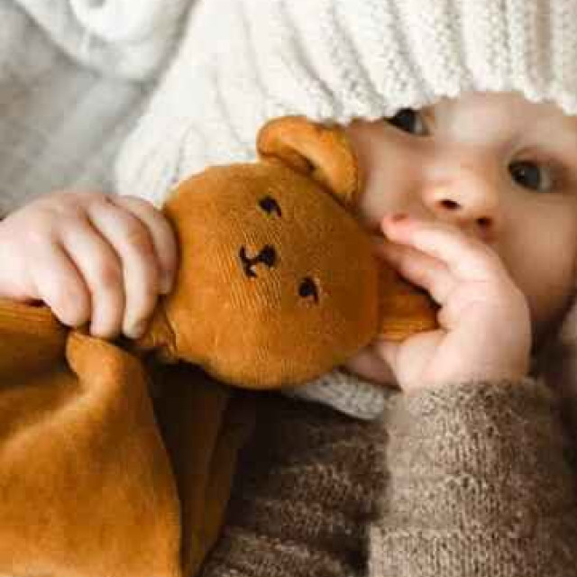 Fabelab 有機棉動物安撫巾 超柔彈布款 (多款可選)