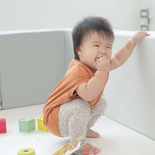 Pato Pato Hipopo方塊遊樂圍欄 6入