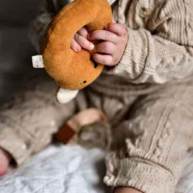 Fabelab 安撫搖鈴 海洋款 (多款可選)