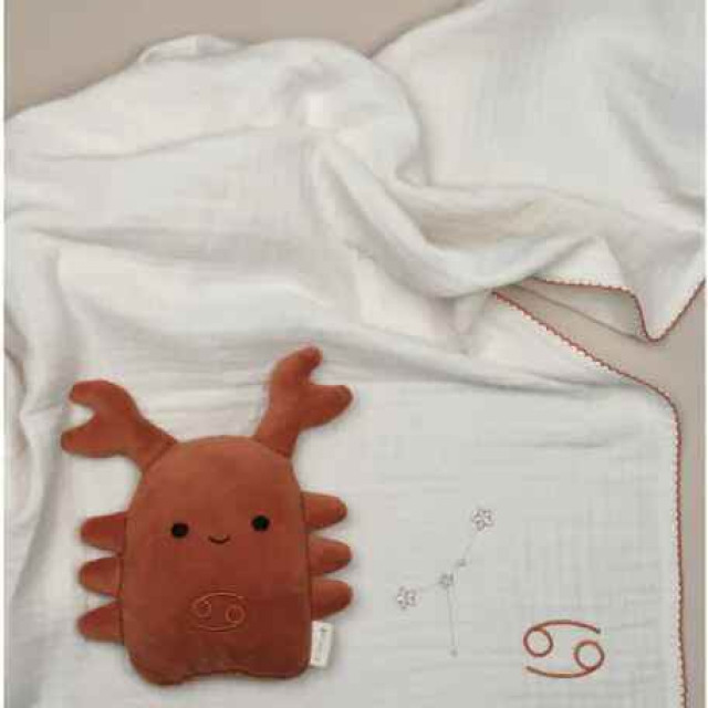 Fabelab 有機棉星座毯 (多款可選)