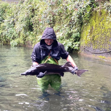 永圻 鱘龍魚 一口魚片 120g (食用仍需留意刺)