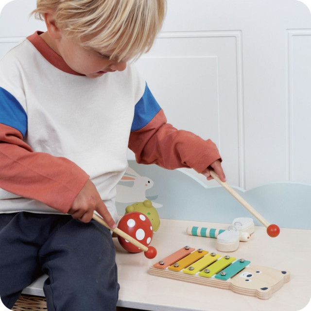 Mentari 可愛動物樂器組