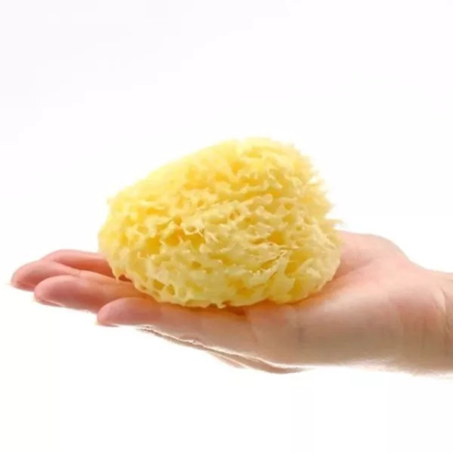 nizio 希臘天然海綿(2⼊)-海綿沐浴組