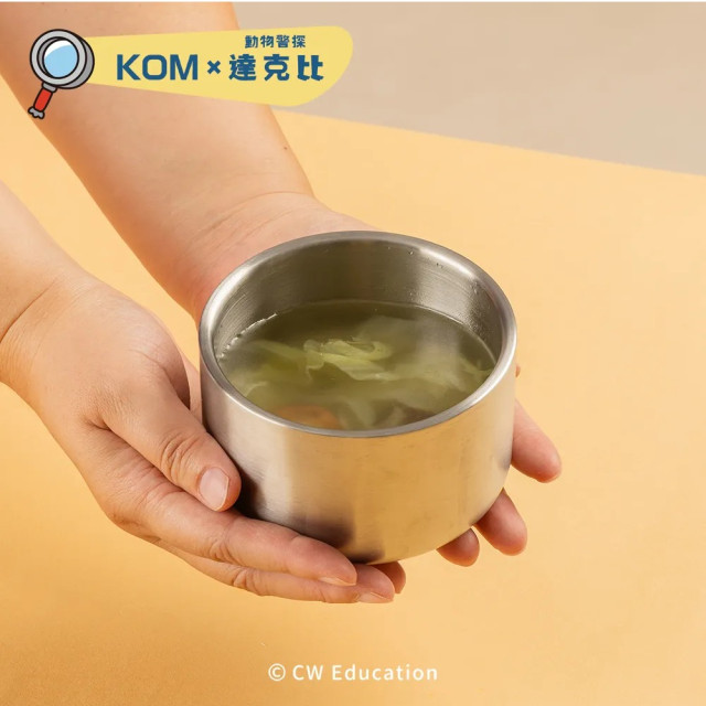 KOMx達克比 可微波便當盒｜附彩色316平底匙