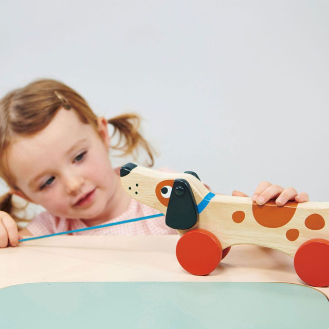 Mentari 米格魯手拉車