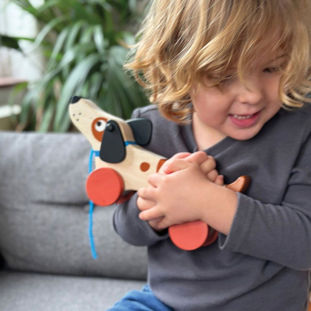 Mentari 米格魯手拉車