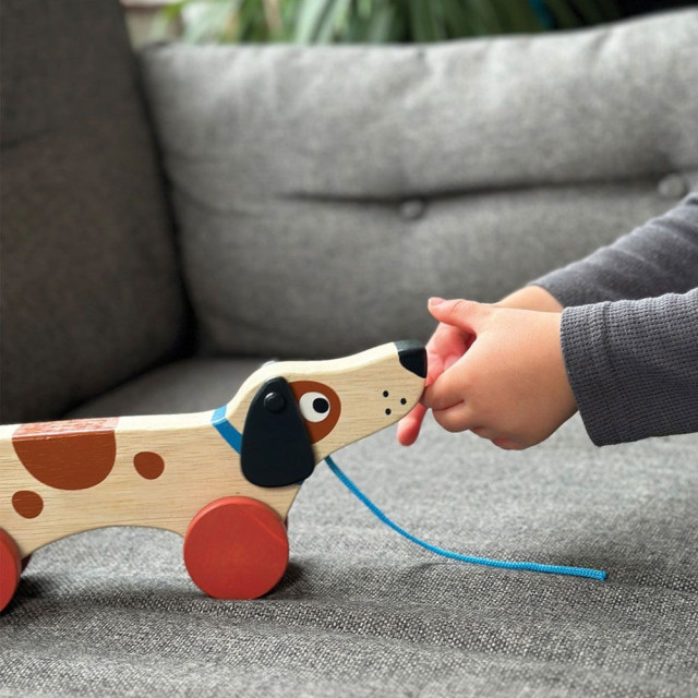 Mentari 米格魯手拉車