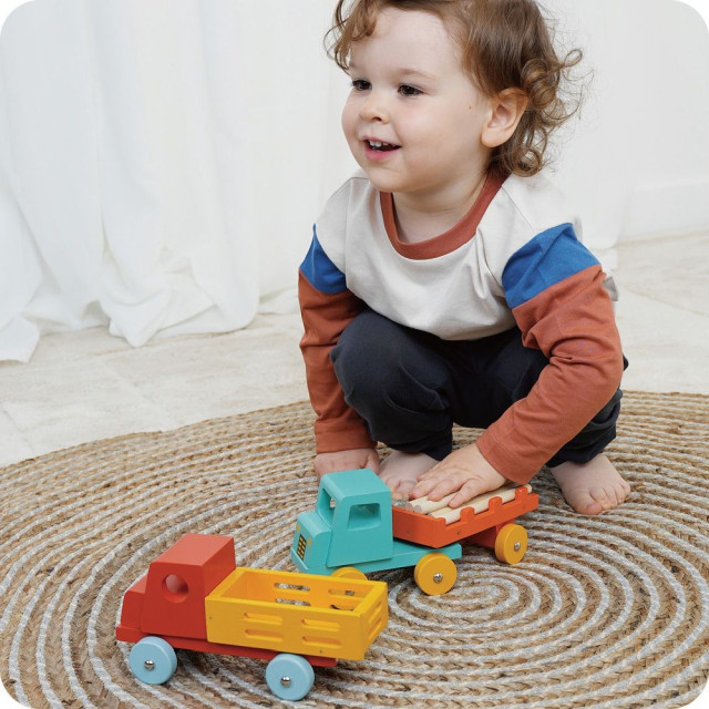 Mentari 活力運輸卡車