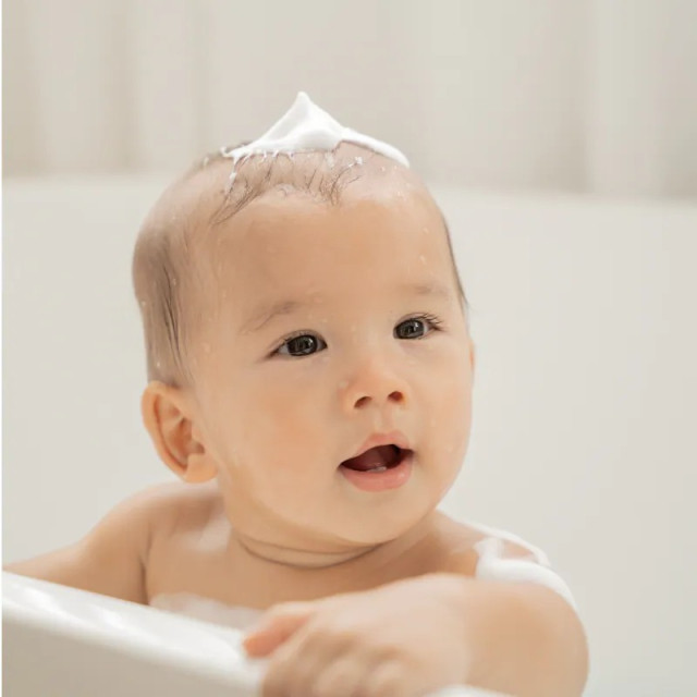 葵森 益菌洗護旅行組