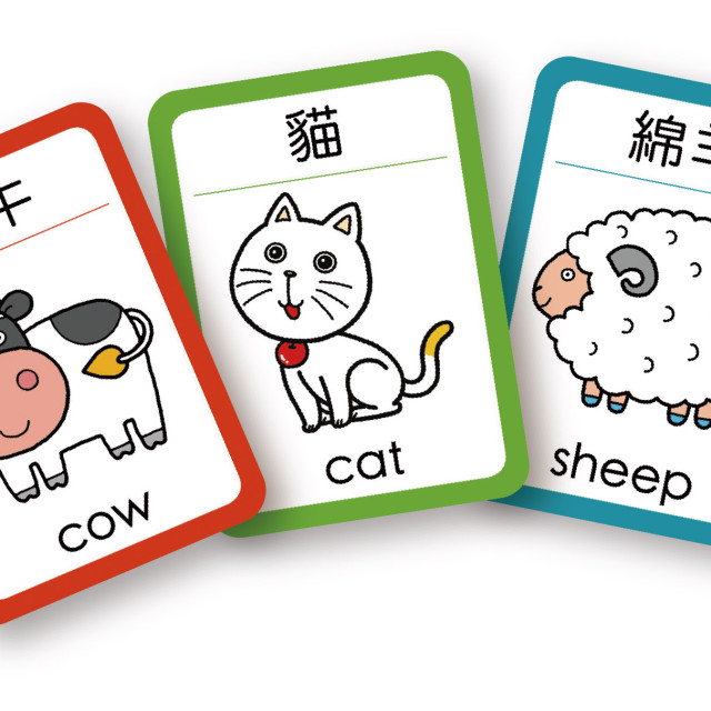 華碩文化 我的拼圖會說話 動物篇