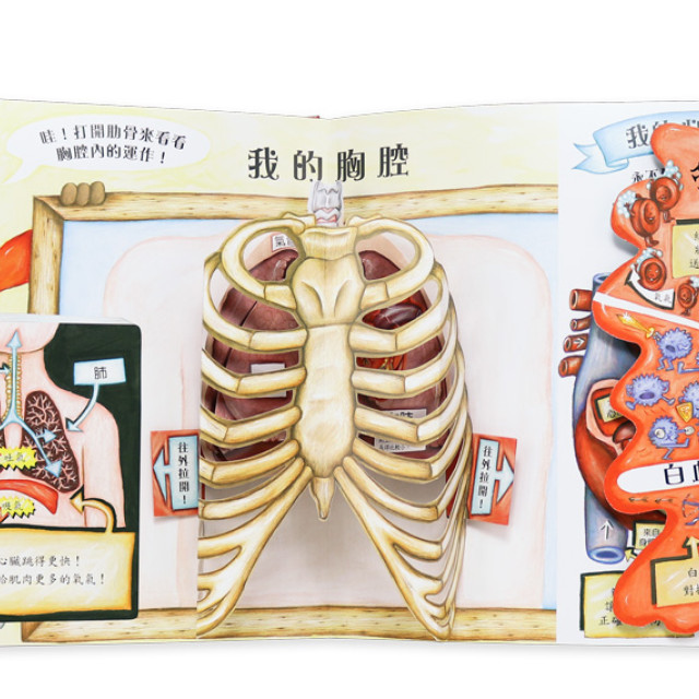 華碩文化 身體原來是這樣