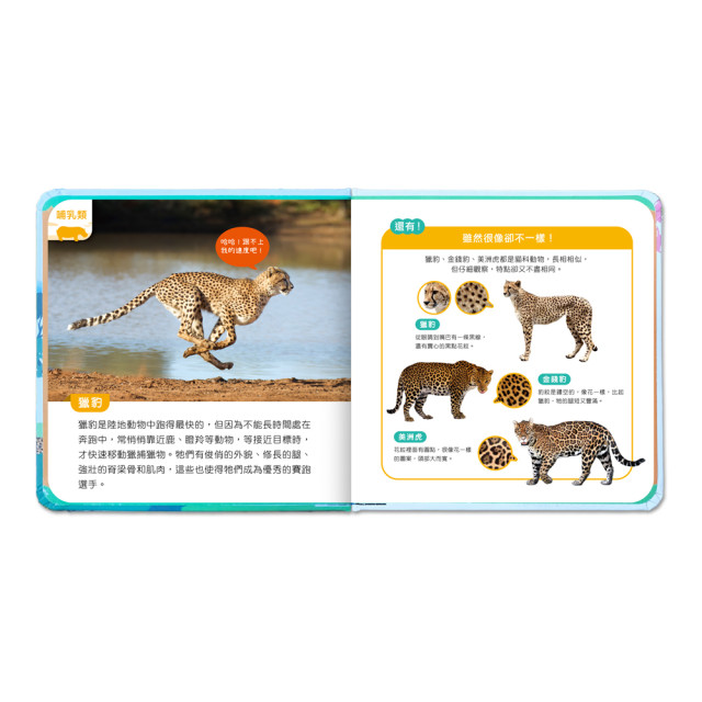 華碩文化 有聲投影手電筒系列 前進動物王國