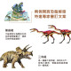 華碩文化 超大立體書系列 恐龍奧秘