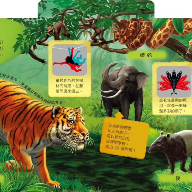 華碩文化 發現家系列 奇妙的動物