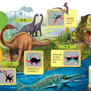 華碩文化 發現家系列 奇妙的動物