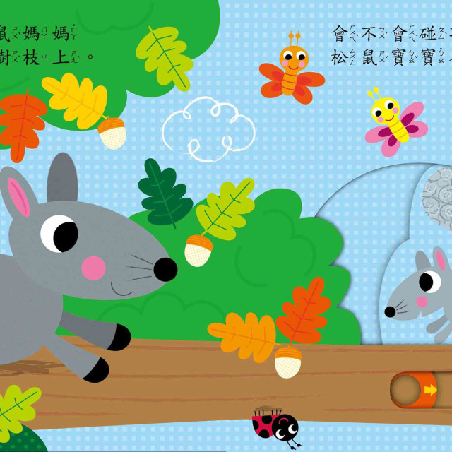 華碩文化 寶貝推拉轉系列 森林裡的大發現