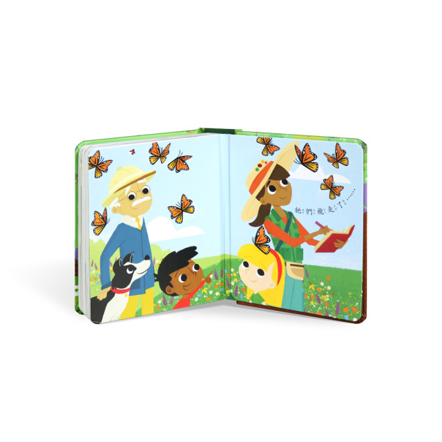 華碩文化 秒懂圖解方塊書系列 蟲蟲