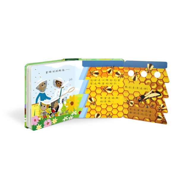 華碩文化 秒懂圖解方塊書系列 蟲蟲