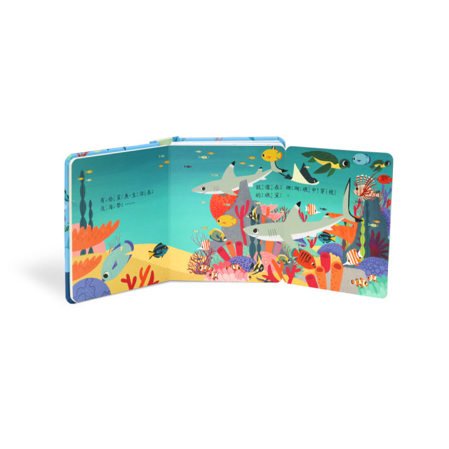 華碩文化 秒懂圖解方塊書系列 鯊魚