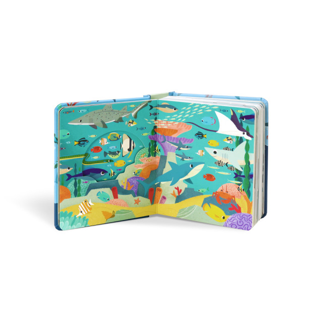 華碩文化 秒懂圖解方塊書系列 鯊魚