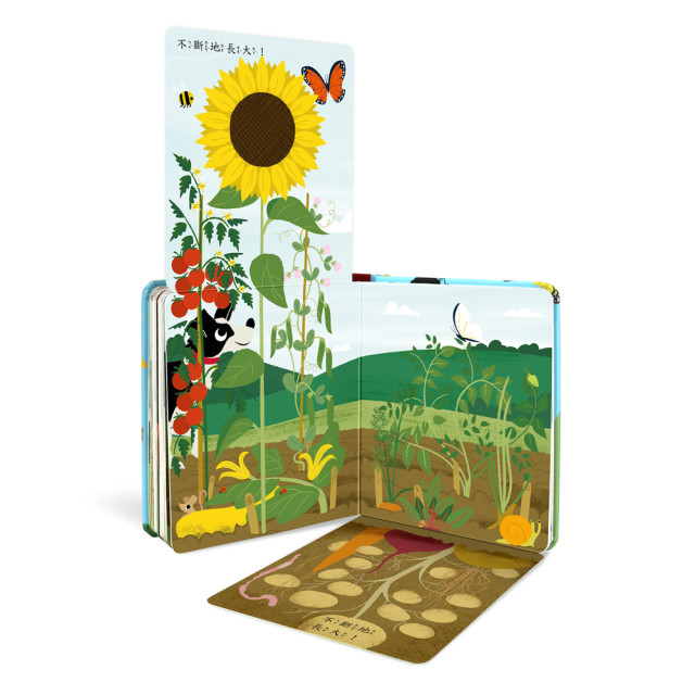 華碩文化 秒懂圖解方塊書系列 農場