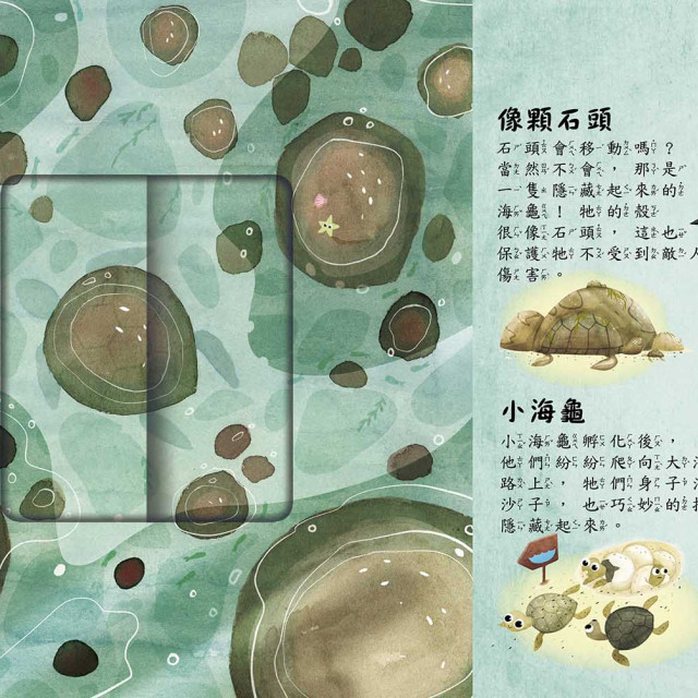 華碩文化 是誰藏在沙漠和海裡?